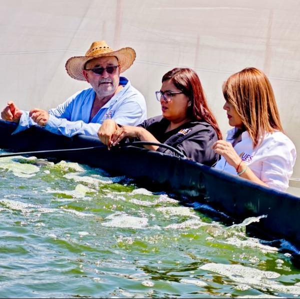 Supervisa Universidad Estatal de Sonora funcionamiento de sus Campos Experimentales